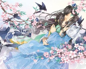 网页版91无需登录在线观看